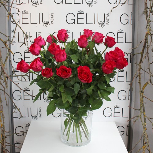 Rožė Avietinės spalvos 60cm