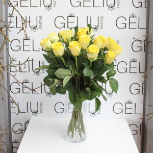 Rožė Geltonos spalvos 60cm