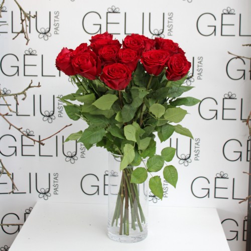 Rožė Raudonos spalvos 60cm